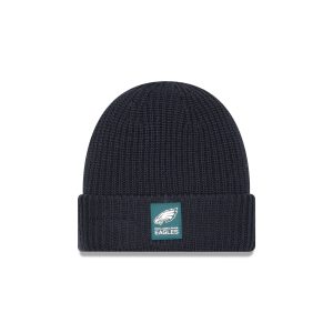 Philadelphia Eagles 2025 Sideline Cold Weather Steel Clouds Cuff Knit Beanie