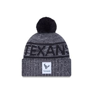 Houston Texans 2025 Sideline Cold Weather Gray Pom Knit Hat