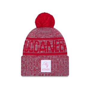 Tampa Bay Buccaneers 2025 Sideline Cold Weather Gray Pom Knit Hat