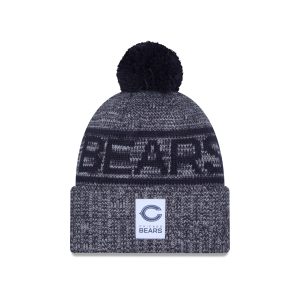 Chicago Bears 2025 Sideline Cold Weather Gray Pom Knit Hat