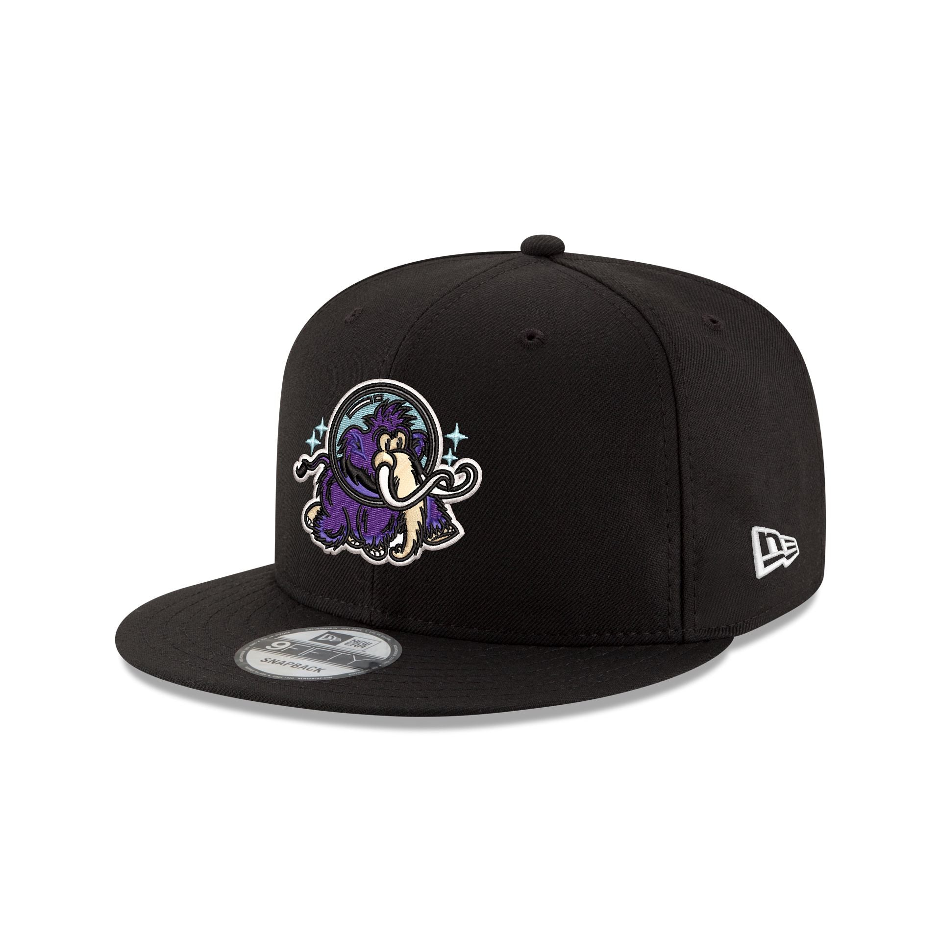 Erie Moon Mammoths 9FIFTY Snapback Hat